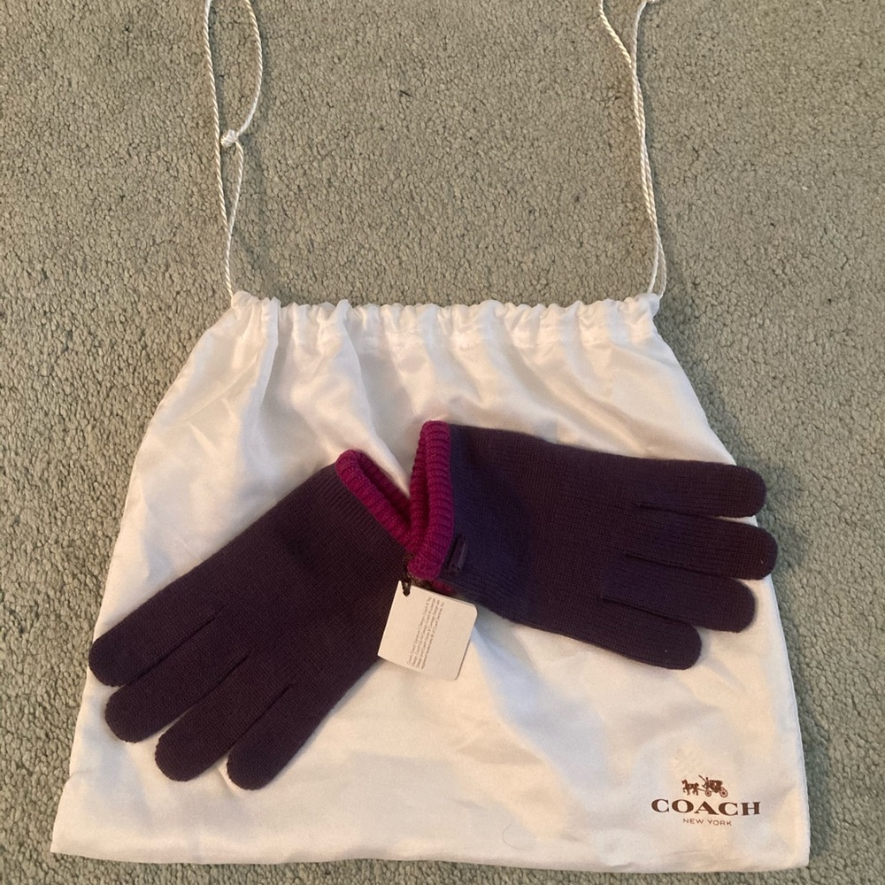 Coach Gloves